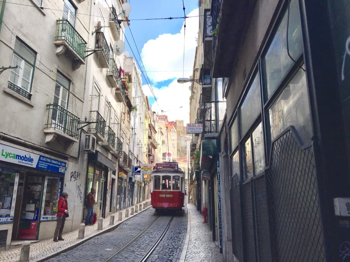 O que fazer em Lisboa: guia completo de bairros, miradouros e pastéis